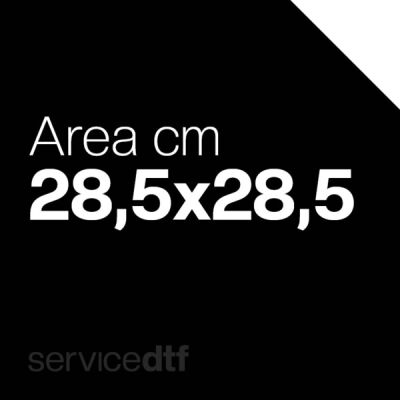DTF_Area 28,5 x 28,5 cm Thumbnail
